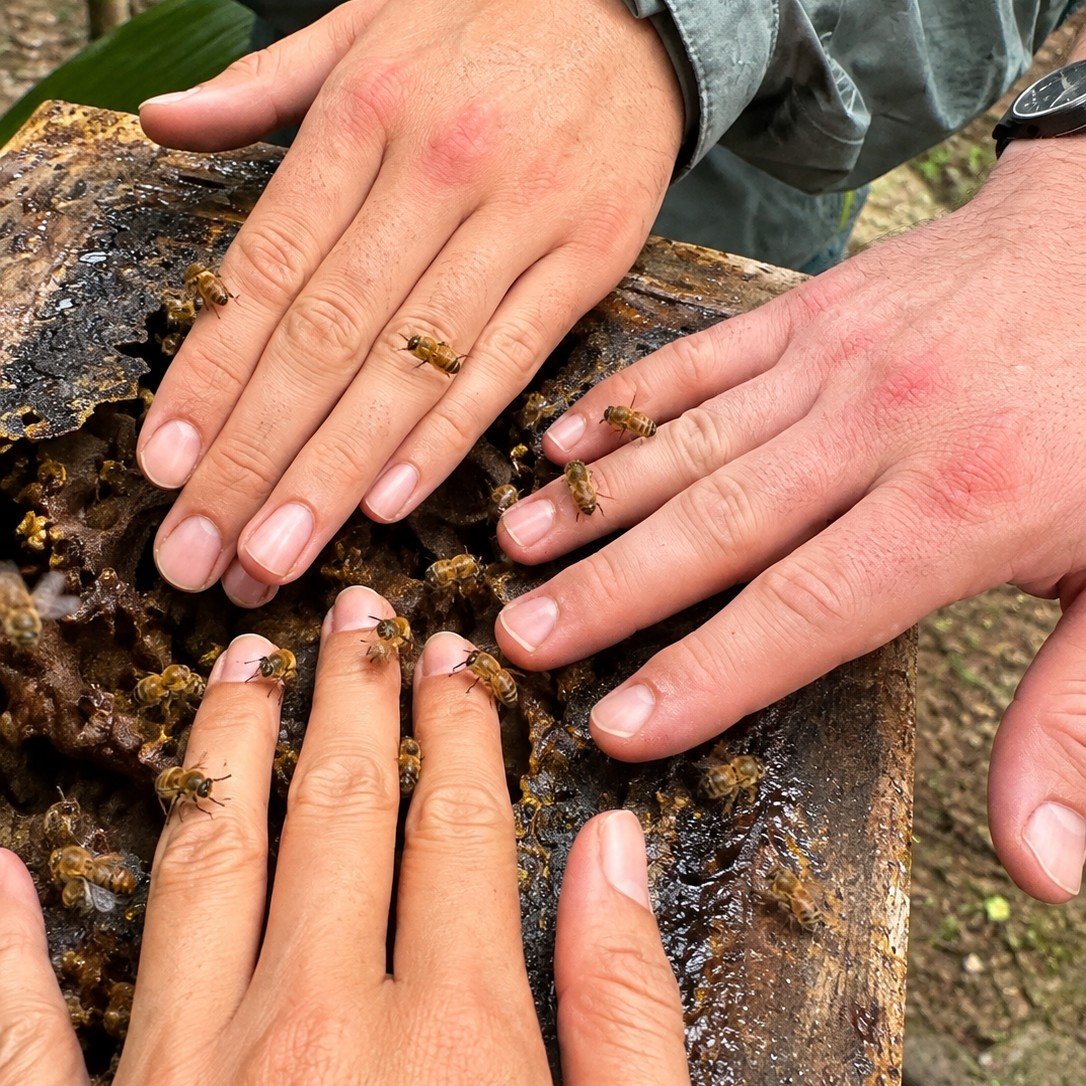 Amazon Honey Experience photo