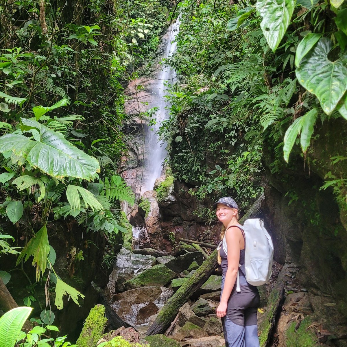 Butterfly Trail photo