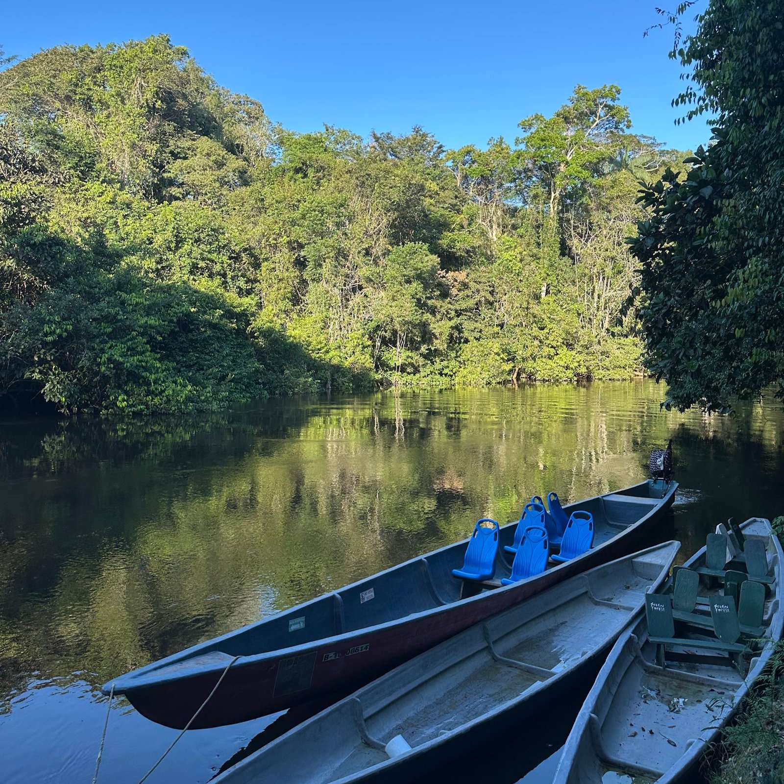 Foto de Fauna Amazónica en Cuyabeno