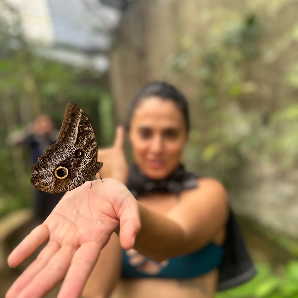 Butterfly Trail photo