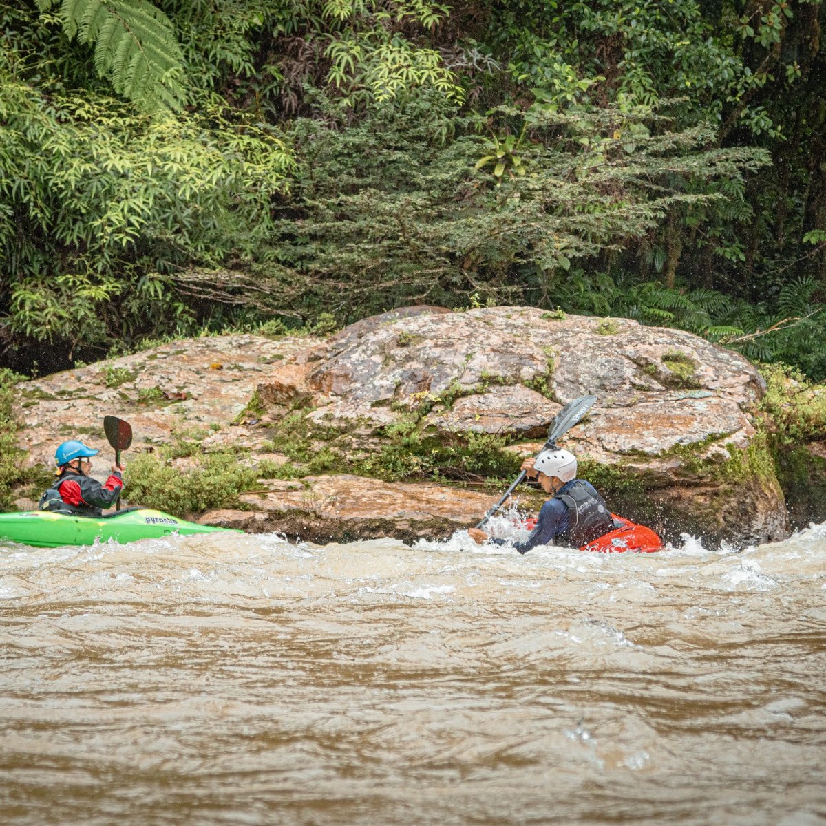 Guided Kayak Tours photo