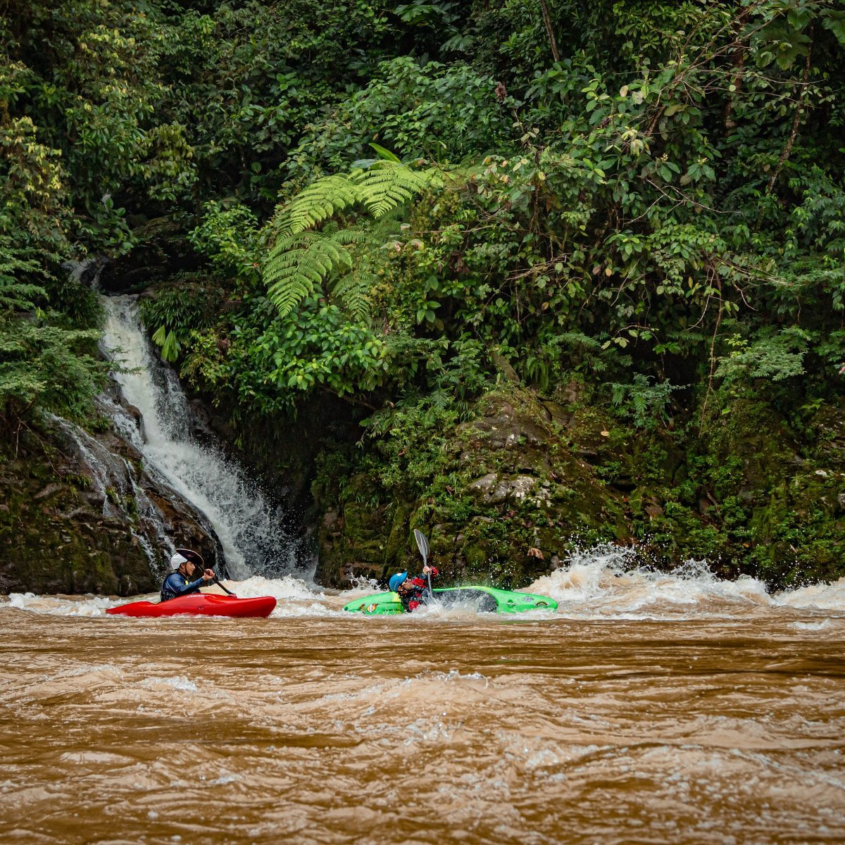 Guided Kayak Tours photo