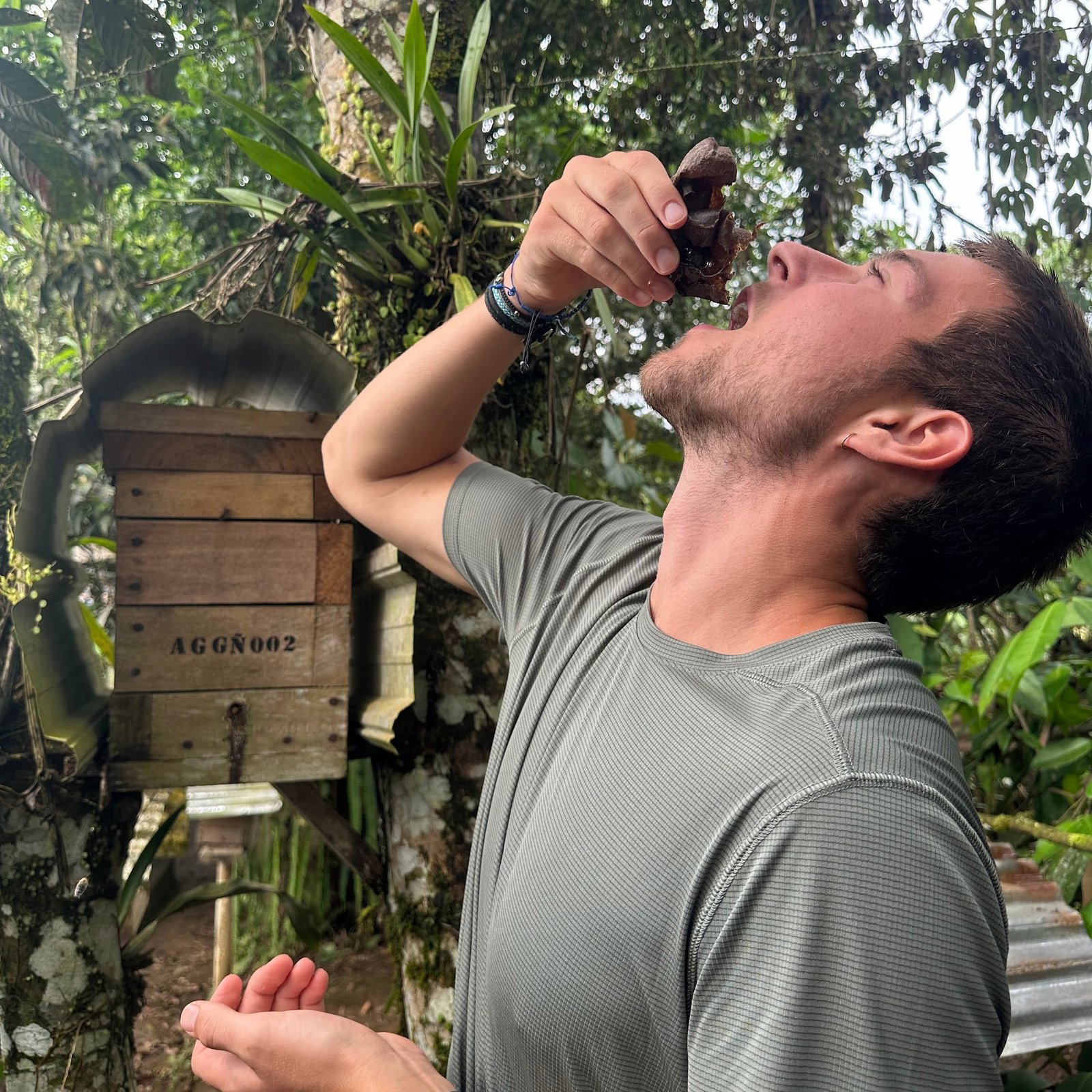 Amazon Honey Experience photo