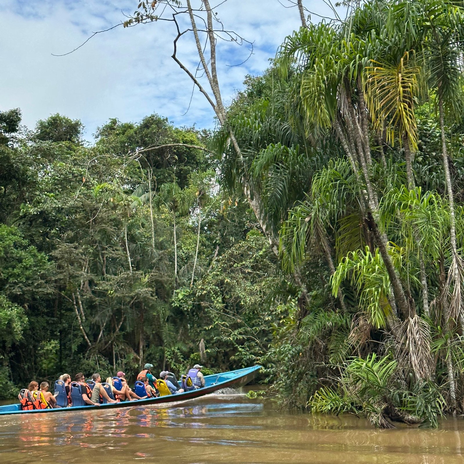 Foto de Fauna Amazónica en Cuyabeno